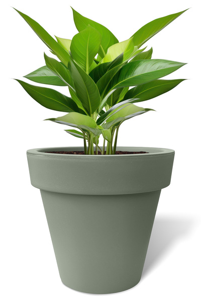 ToXA 25 Litre Bej Fulya Saksı Tabaksız Drenajlı Izgaralı Mat Plastik Çiçek Sa...