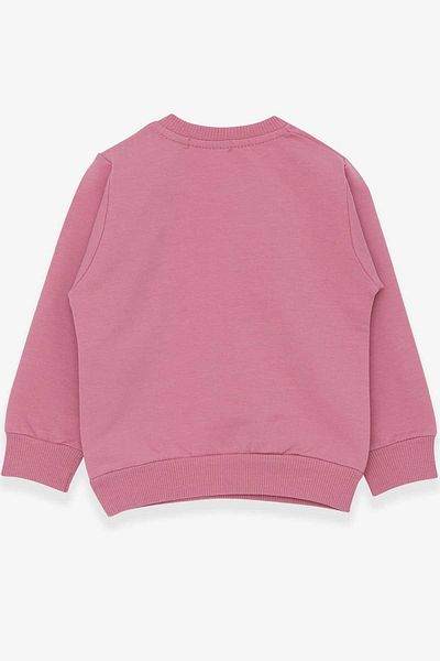 Breeze Girl's Sweatshirt for 1-4 Years - Embroidered Sequin and Dried Rose