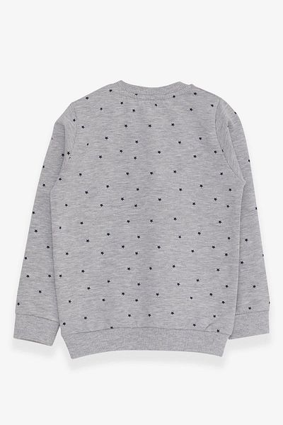 Breeze Girl's Sweatshirt Glitter Heart Printed 2-6 Years, Gray Melange