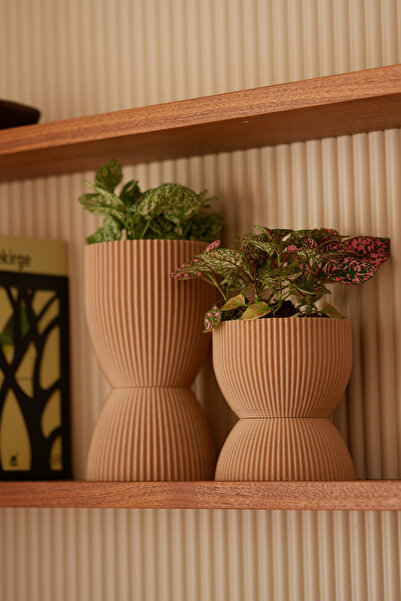FİONA Series | Fiona Set of 2 | Succulent Flower Pot | Cactus Flower Pot | Home Decor