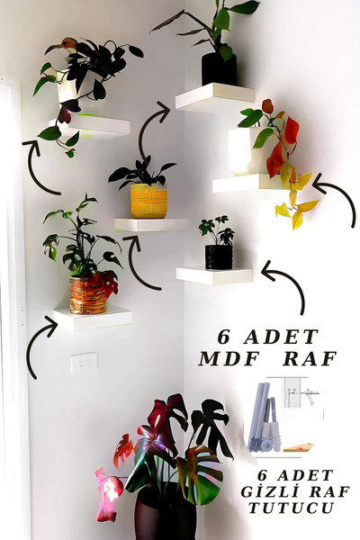 Green Life Design Beyaz Mutfak Salon Tv Kahve Köşesi Çiçeklik Raf Saksılık Ra...