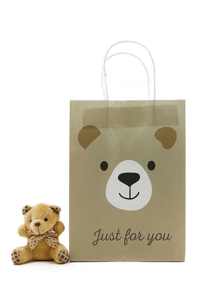 reprodesign 19X26 Cute Animal Themed Paper Bag 2 Pieces (Cute Teddy Bear Pattern)
