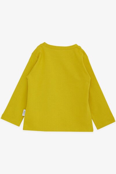 Breeze 1-4 Years Boy Pistachio Green Long Sleeve T-Shirt