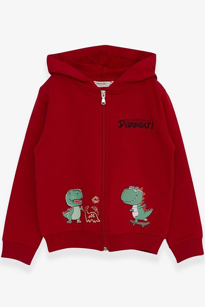 Breeze Boy's Cardigan Skateboard Dinosaur Printed 1-4 Years, Red