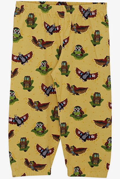 Breeze Girls & Boys Boy's Pajama Set, Cute Owl Patterned, Age 1-4, Yellow