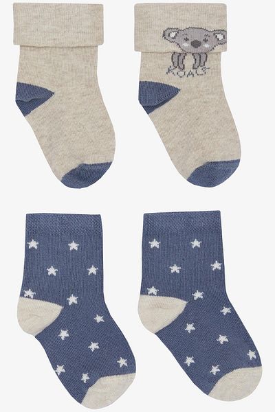 Katamino Koala Printed Baby Boy Socks - 2-Piece Cute, Mixed Color, 0-24 Months