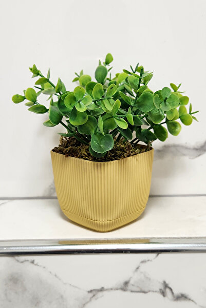 ALSHOP Artificial Plant Boxwood in Mini Pot with Real Stone Moss Total 16 Cm ...