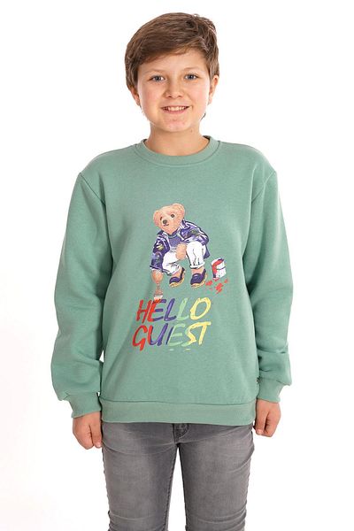 zepkids Hello Guest Printed Çağla Color Boy's Sweat