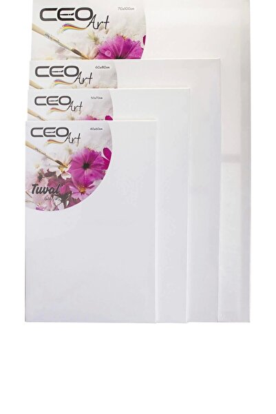 Ceo Art 50x70 Düz Tuval
