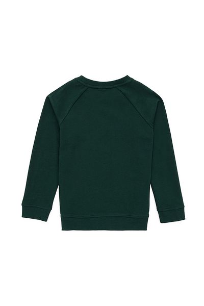 U.S. Polo Assn. Boy's Dark Green Basic Sweatshirt 50293633 -Vr079