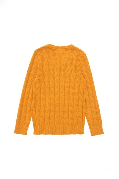 U.S. Polo Assn. Boy's Mustard Basic V-Neck Sweater 50293535 -Vr072