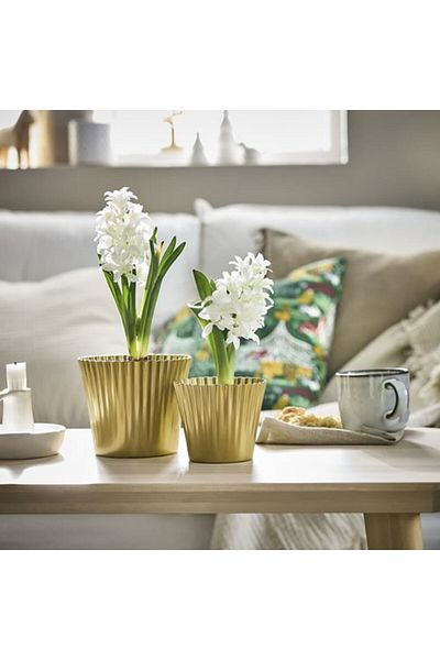 IKEA Ατσάλινη γλάστρα VINTERFINT, 10 cm