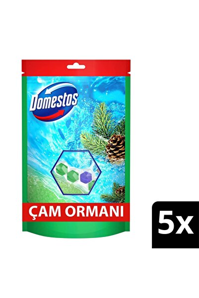 Domestos Tuvalet Bloğu Çam Ormanı 5'li Güç 250 G X1