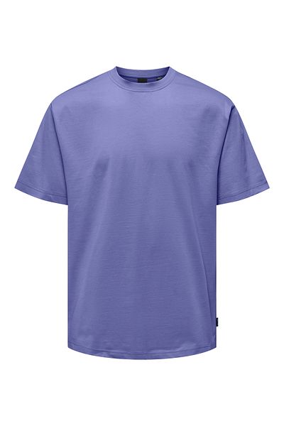 Only & Sons Onsfred Life Rlx Ss Tee - Dusted Fairy Model Noos 22022532