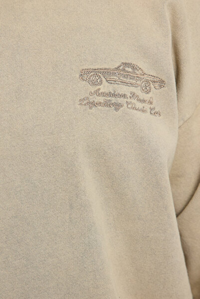 Trendyol Collection Béžová vyšívaná oversize mikina – starožitné podrobné Tmnaw25Sw00170