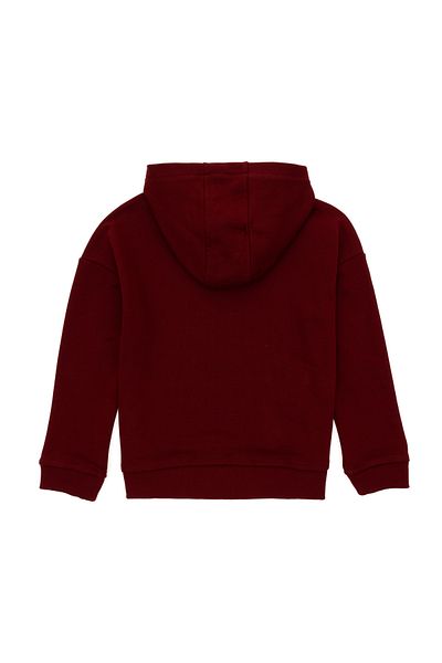 U.S. Polo Assn. Boy's Burgundy Basic Hooded Sweatshirt 50298269 -Vr014