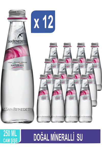 San Benedetto Doğal Mineralli Su 250 ml x 12
