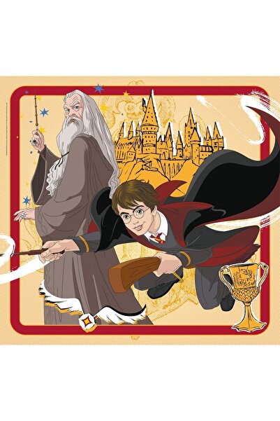 Clementoni Puzzle Clementoni Harry Potter Puzzle 3x48 Piesa 25312