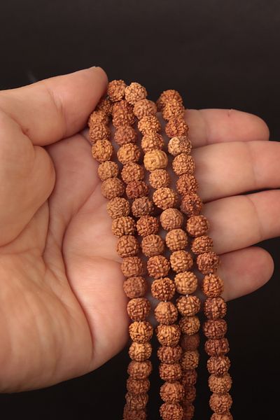 CessNova Rudraksha Seed Natural Stone String - Certified (1 Piece)