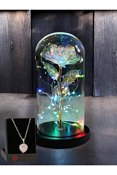 Lapidaria Fanus Içerisinde Dekoratif RGB Peri Led Işıklı Solmayan Sonsuzluk G...
