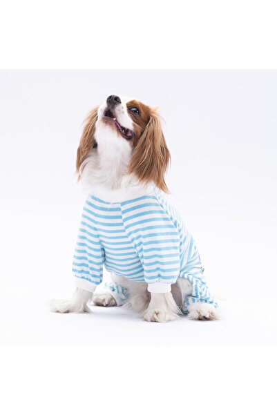 Pawstar Mavi Just More Kedi Köpek Pijaması - Kedi Köpek Tulumu - Kedi Köpek Kıyafeti