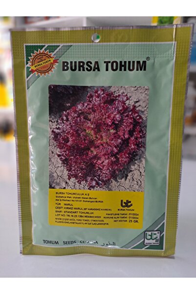 Bursa Tohumculuk Kırmızı Kıvırcık Marul Tohumu