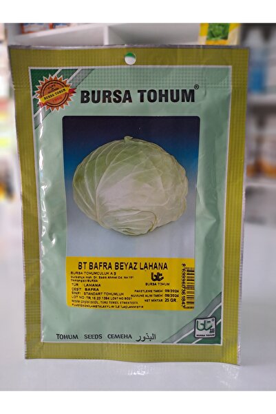 Bursa Tohumculuk Bafra Beyaz Lahana Tohumu