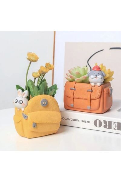 TAŞDEVRİLIFE 4'lü Sevimli Çantalar Sukulent Saksı Seti Ve Sunumluk