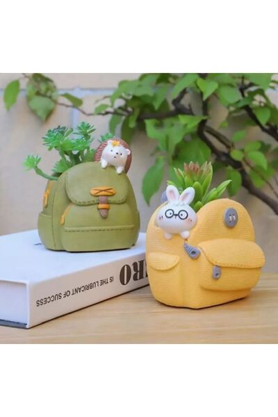 TAŞDEVRİLIFE 4'lü Sevimli Çantalar Sukulent Saksı Seti Ve Sunumluk