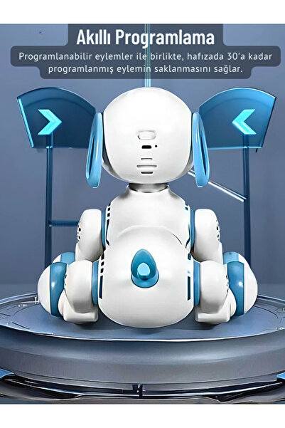 Wingzy Uzaktan Kumandalı Şarjlı Akıllı Köpek - Interaktif, Eğitici ve Eğlendirici Robot Oyuncak