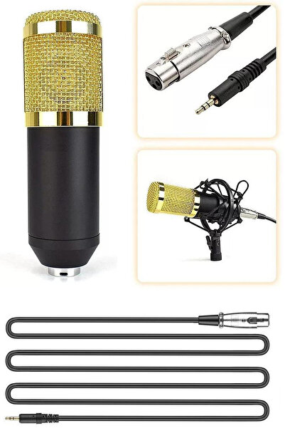 TechnoStation Profesyonel Standlı Yayıncı Oyuncu Mikrofon Seti Gürültü Engelleme Özellikli Gamer Mikrofon Ekipman