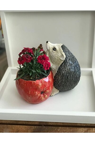 TAŞDEVRİLIFE Sevimli Kirpi Dekoratif Saksı