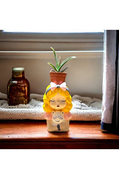 TAŞDEVRİLIFE Kalemlik Sukulent Saksı Lık Biblo Kız Büyük Boy