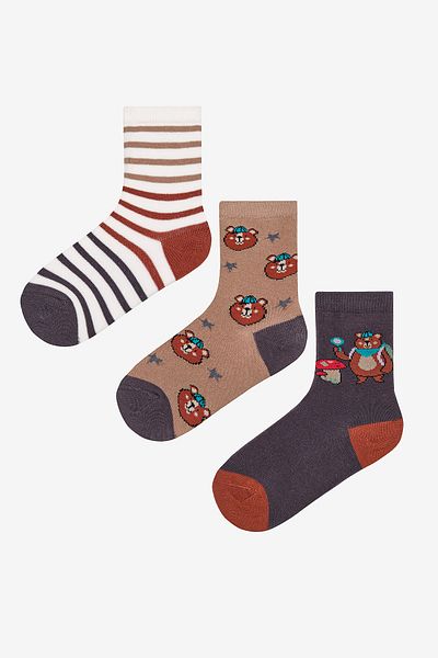 Penti Boy's Hello Bear 3-Piece Multicolored Socks