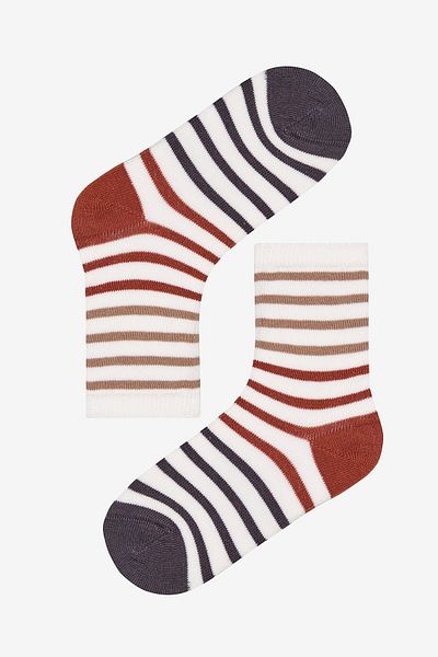 Penti Boy's Hello Bear 3-Piece Multicolored Socks