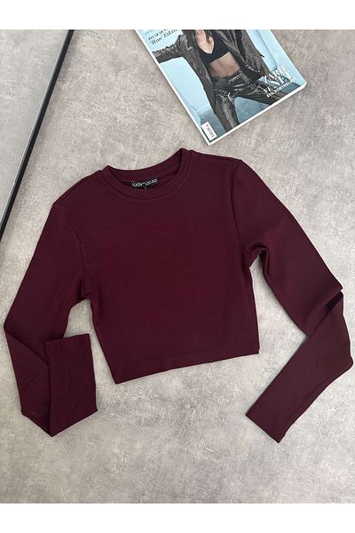 ESRAHELVACI Long Sleeve Basic Crop Top