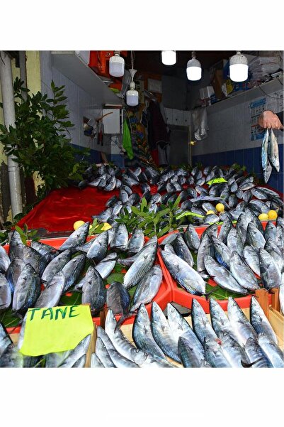 Osram Clt 45w (250W) Jumbo Torch Büyük Led Ampul Beyaz 6500k - Büyük Boy Pazar Lambası