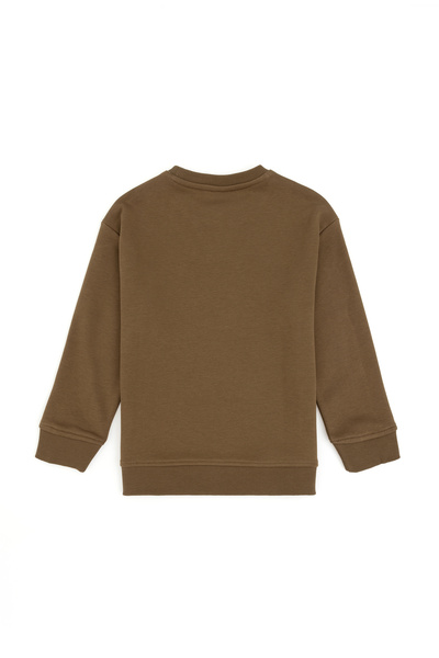 U.S. Polo Assn. Erkek Çocuk Haki Basic Bisiklet Yaka Sweatshirt 50295151-VR027