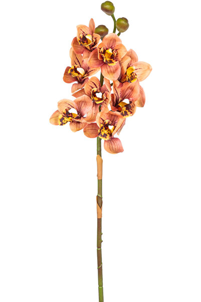 Herdekora Yapay Orkide Gerçek Dokulu Somon 75 Cm.