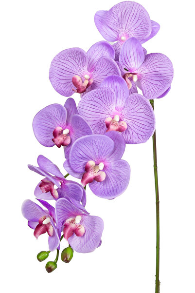 Herdekora Yapay Orkide Gerçek Dokulu Lila 95 Cm.