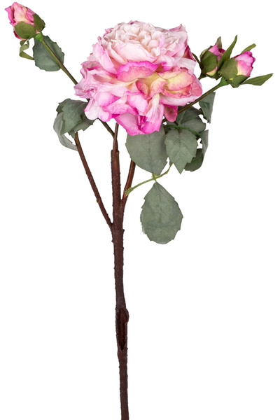 Herdekora Yapay Şakayık Kurumuş Efektli Fuşya 60 Cm.