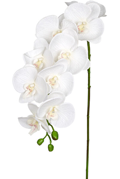 Herdekora Yapay Orkide Gerçek Dokulu Beyaz 95 Cm.