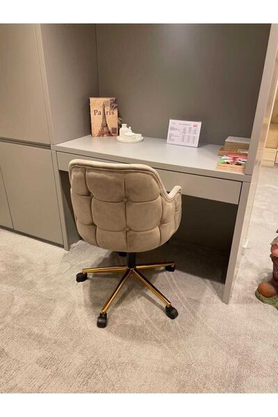 TİTANYUM CHAİR Erto Calışma Sandalyesi