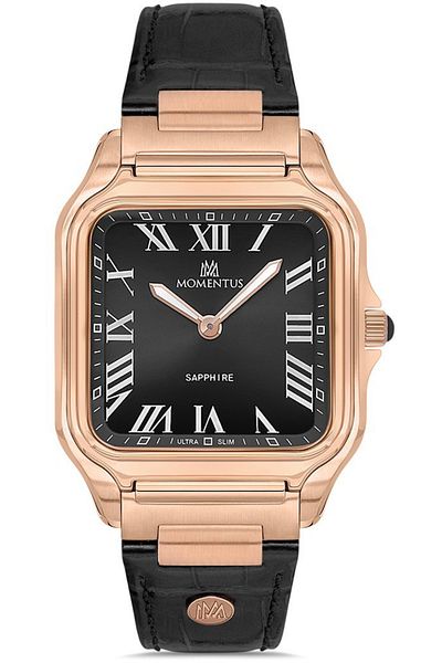 Momentus Men's Wrist Watch S.Em348R-04Br