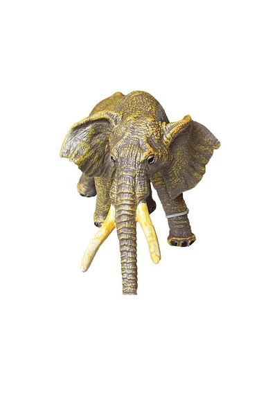 Angoravi Wild Animals Series
