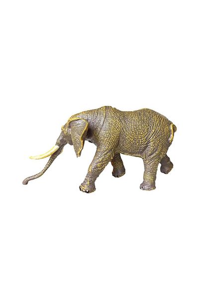 Angoravi Wild Animals Series