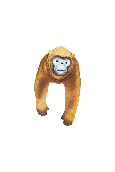 Angoravi Wild Animals Series