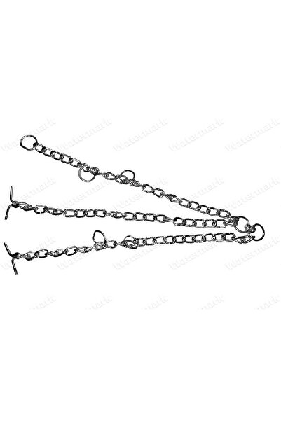 CANLAR BURGULU TOSUN, İNEK, DANA ZİNCİRİ