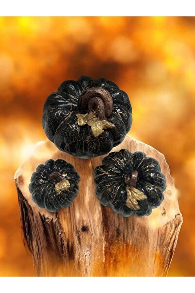 Hobi Trendim Dekoratif 3'lü Balkabağı