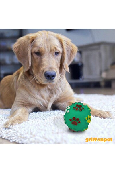 Griffonpet Küçük ve Orta Irklar İçin Sesli Oyun Topu – 7.5 cm (Turkuaz)